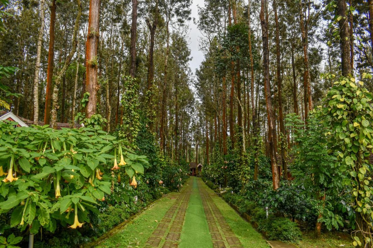 Coffee Grove Resort Chikmagalūr Eksteriør billede