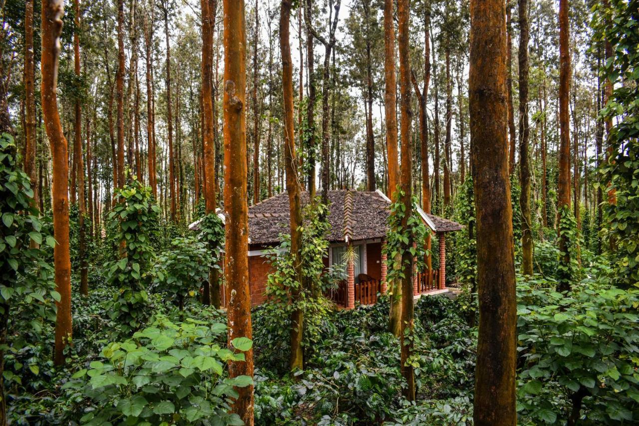 Coffee Grove Resort Chikmagalūr Eksteriør billede