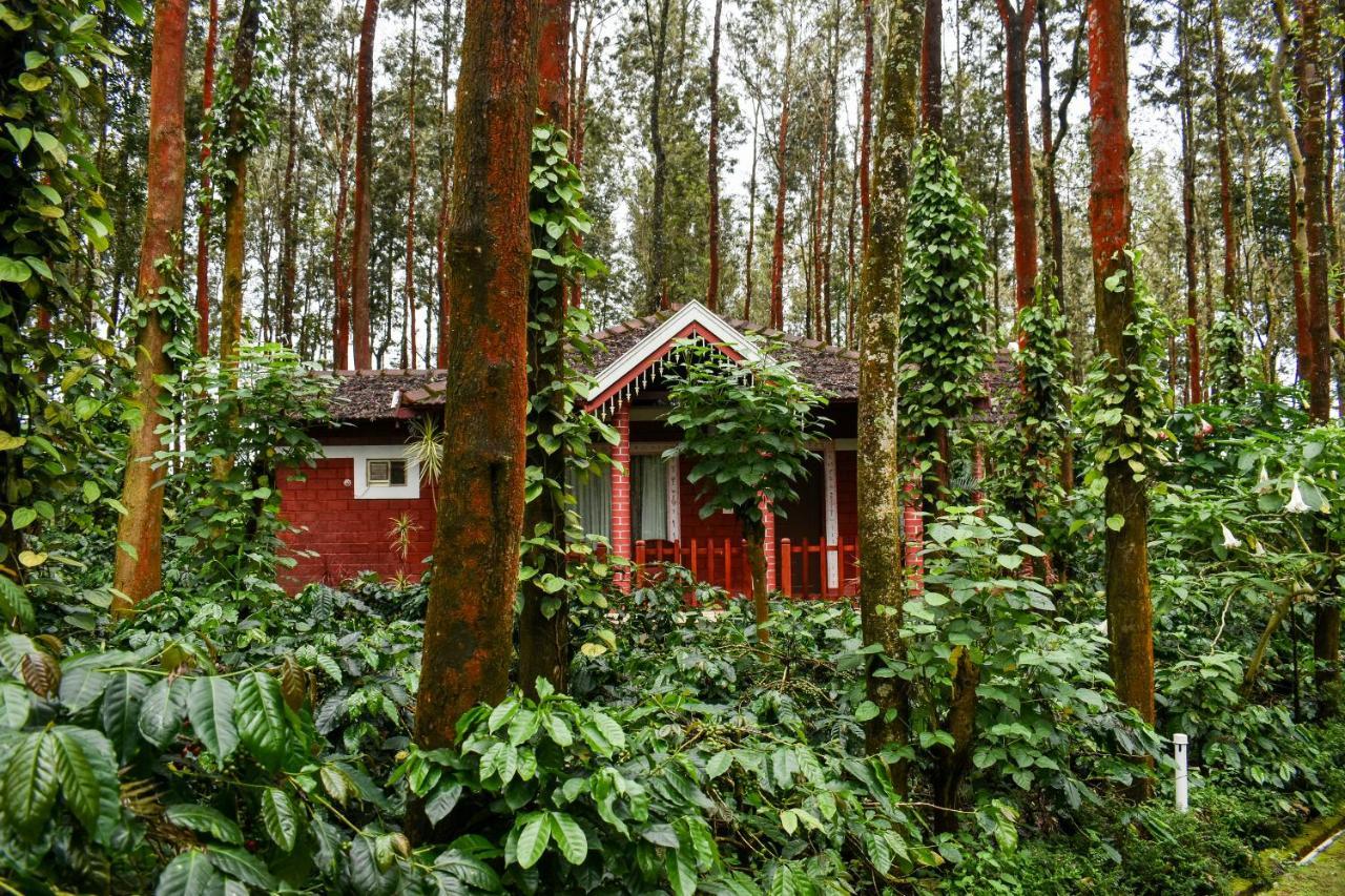 Coffee Grove Resort Chikmagalūr Eksteriør billede