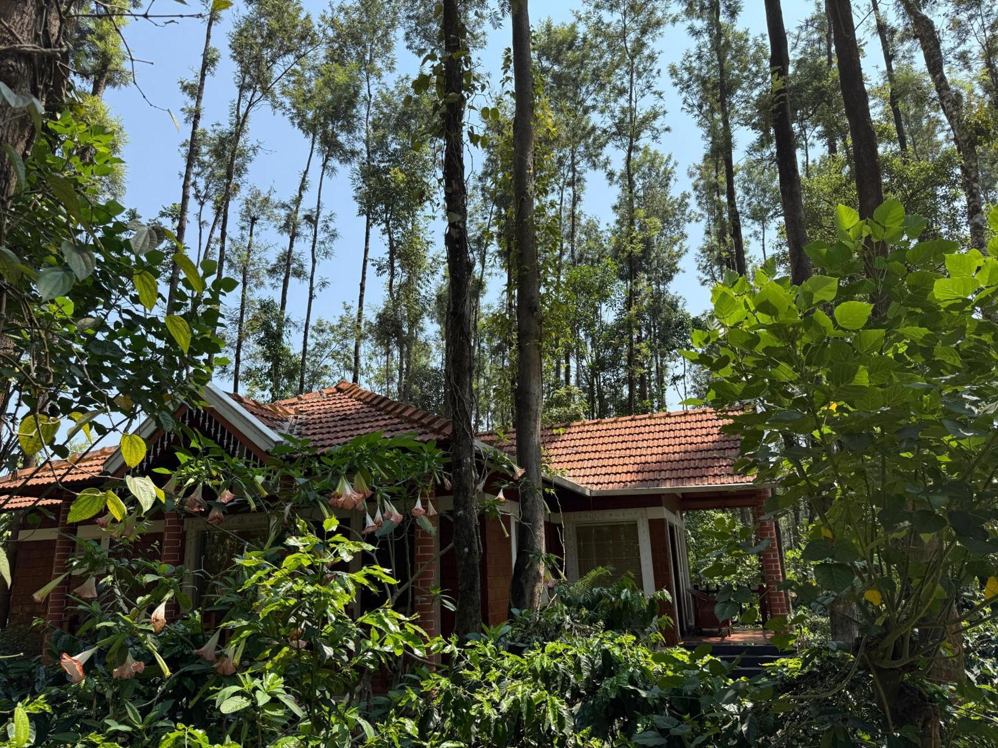 Coffee Grove Resort Chikmagalūr Eksteriør billede
