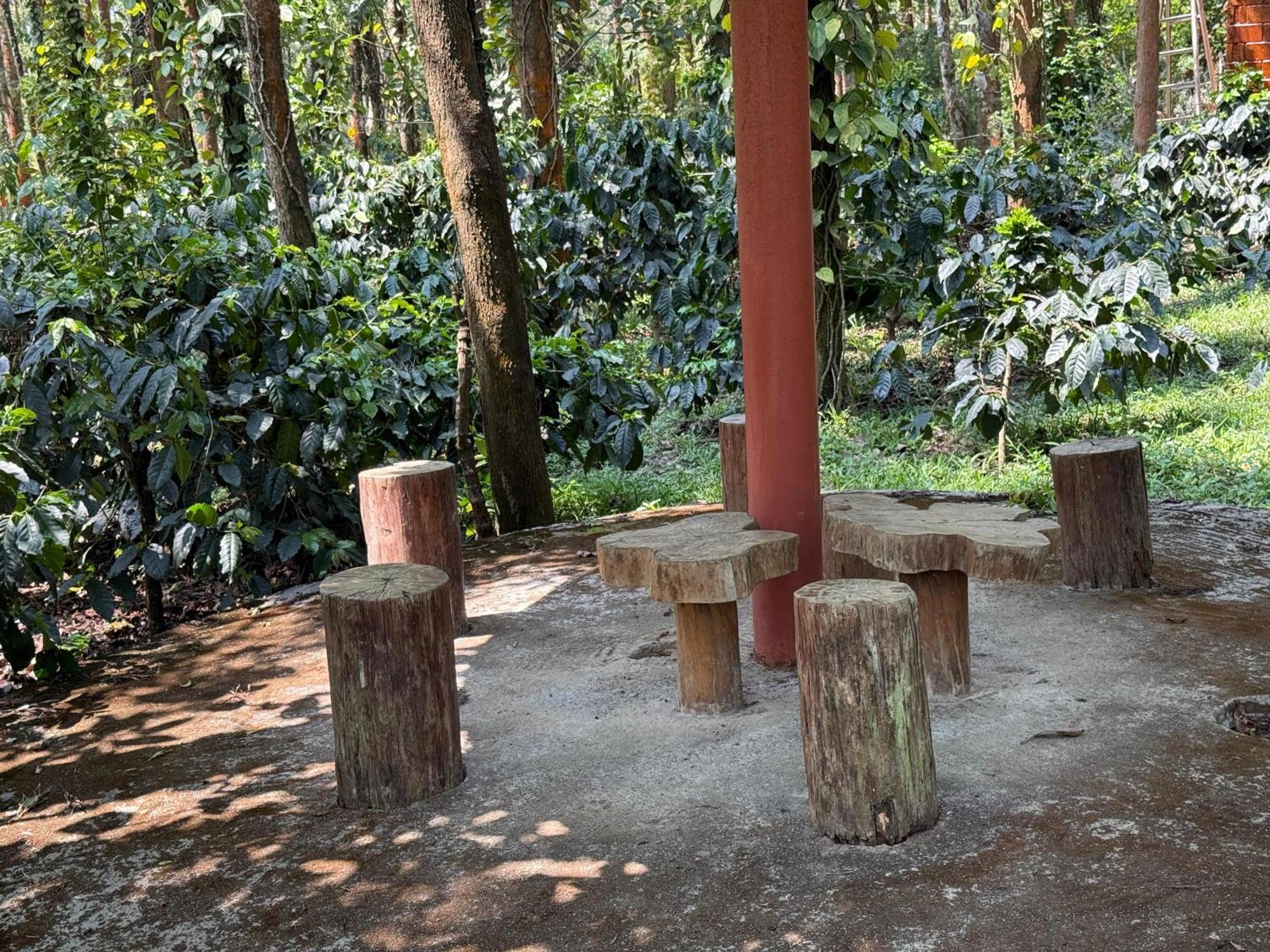 Coffee Grove Resort Chikmagalūr Eksteriør billede
